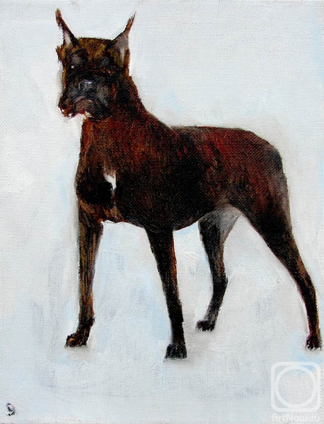 ������� ������ �� ������. �������� ������. ���