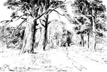 From a cycle �Autumn in Mozhaisk� - 24