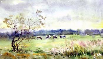 Collection of landscapes � 1/3