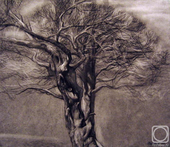 Makarov Anton. Untitled