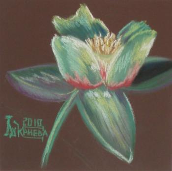 Tulip Poplar's Flower. Lukaneva Larissa