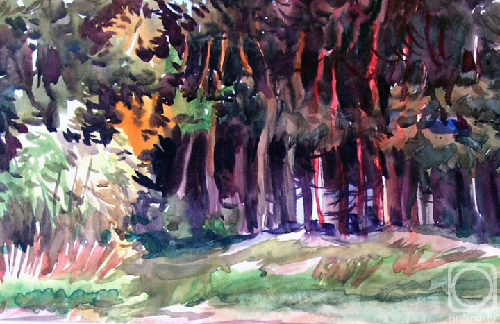 Vrublevski Yuri. Collection of landscapes � 1/9