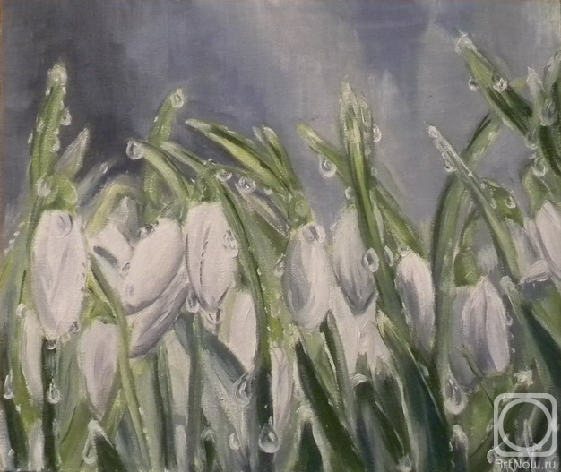 ������� ������ �� ������. ������ ������. �����������