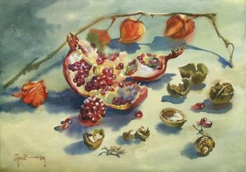 Pomegranate and physalis