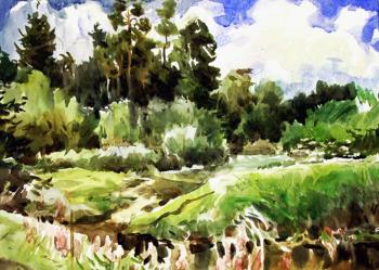 Collection of landscapes � 1/13