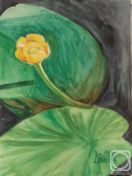 �������. �������� ������. ������� �����