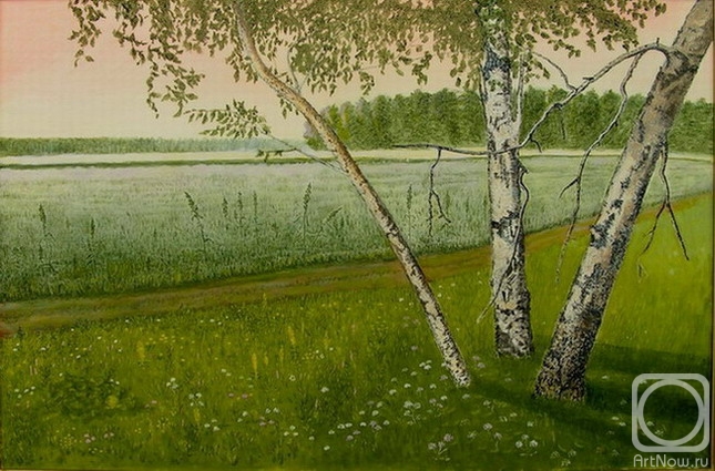 Zolottsev Vasily. An unsowed field