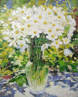Daffodils in the garden. Gavlin Evgeniy