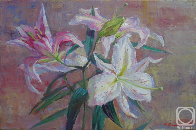 ������� ������ �� ������. �������� �����. �������� �����