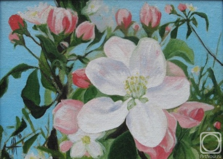 �������. ����� ����. �������� ������