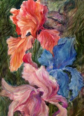 Irises. A touch of passion. Zolotarev Leonid