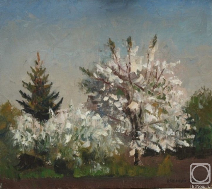 ������� ������ �� ������. ������ ���������. ��� ����� �������� ������