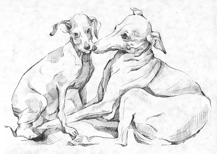 �������. ��������� ���������. ������