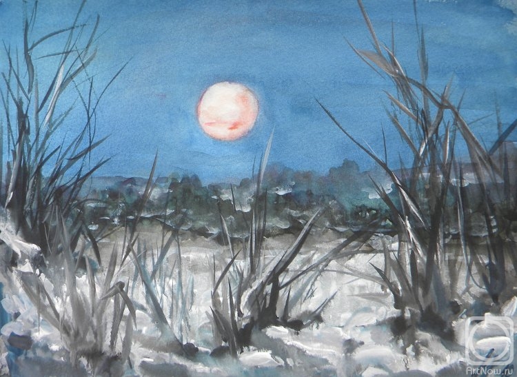 Ushakova Maria. Winter grasses