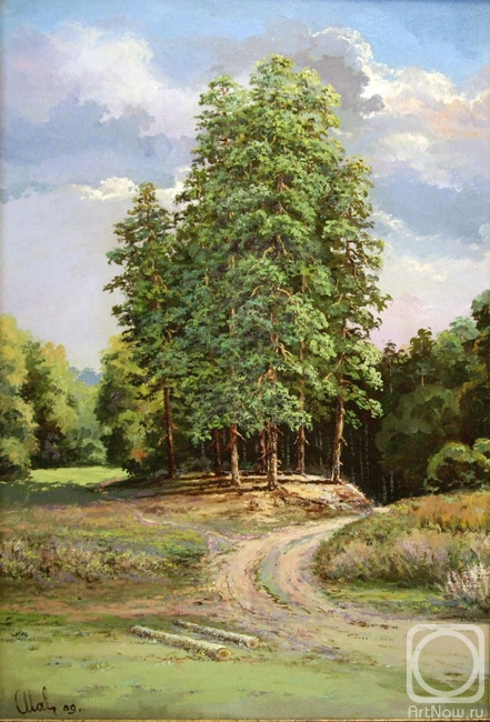 Malyarchuk Stanislav. Pine trees on a hillock