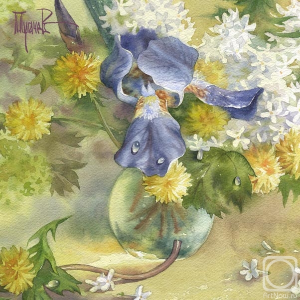 �������. ������� �����. ������� ����� (��������)