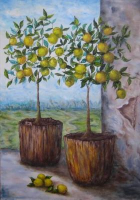 ������� ���� ���������