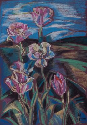 ��������