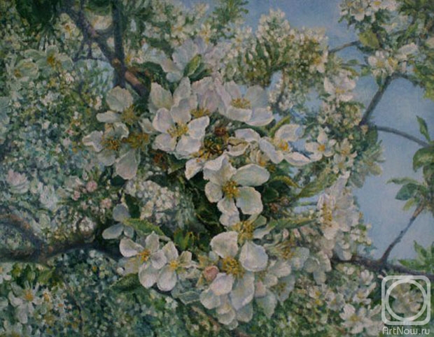 ������� ������ �� ������. ������ �����. ������ �����