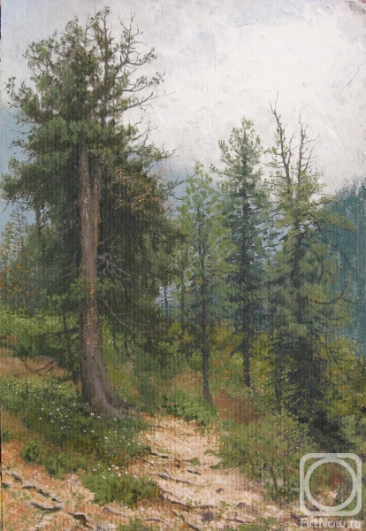 �������. ������� �������. �������, �����, ����