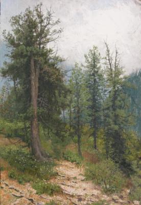 Trees, trail, mountains. Petuhov Dmitriy