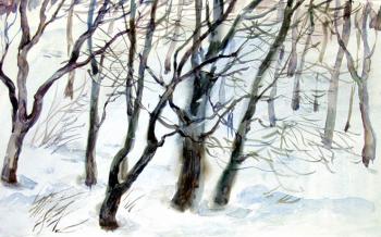 Collection of winter landscapes - 2/4. Vrublevski Yuri