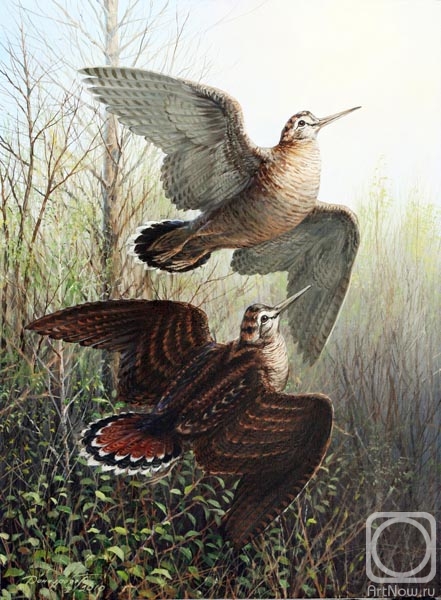 ������� ������ �� ������. ��������� �������. �����