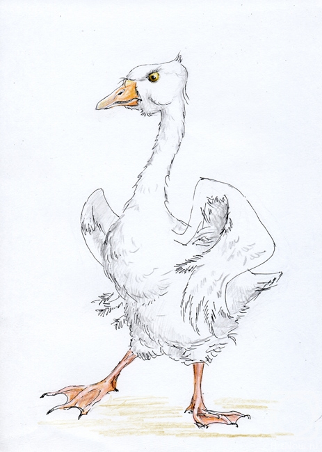 Tarasova Irena. Goose