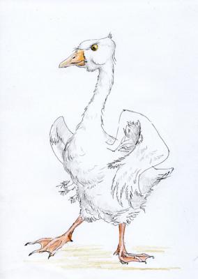Goose