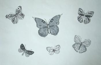 Butterflies. Shukshina Daria
