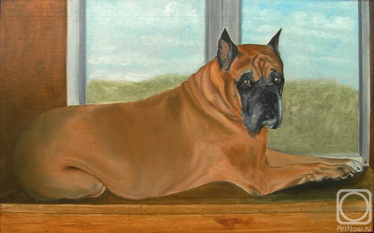 ������� ������ �� ������. �������� �������. ����