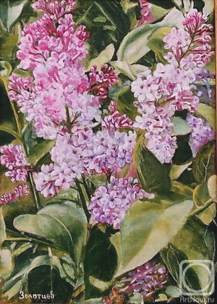 ������� ������ �� ������. �������� �������. �����