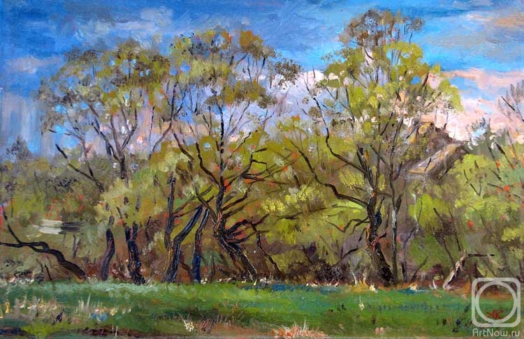 ������� ������ �� ������. ��������� �����. ��� � ����