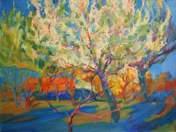 Blooming pears. Spring fireworks (Spring Blooming). Mirgorod Igor