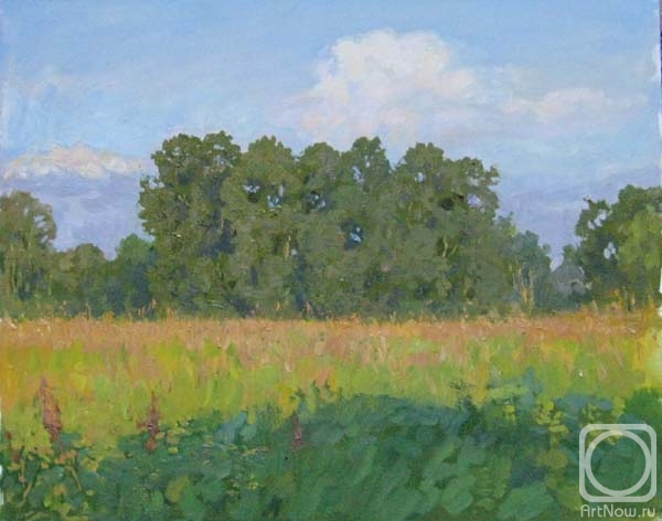 �������. ������� ���������. �������� ����