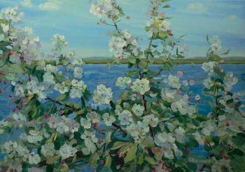 ������� ������� � �����.�� �����