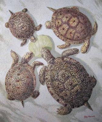 tortoises (Cabbage Leaf). Krasnova Nina