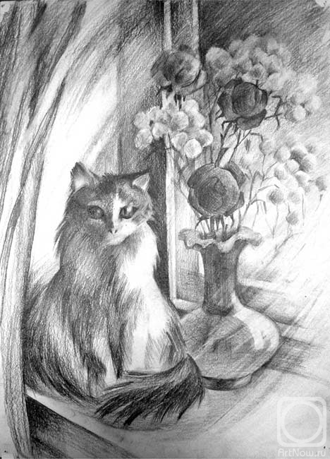 �������. ������� �����. ������ �������� ����