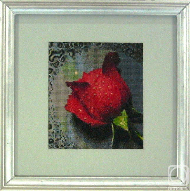 �������. ���������� �������. ���� �� ��������