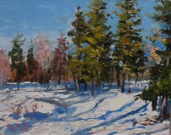 Spring in the Gatchina Park