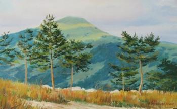 Pine trees against the backdrop of mountains. Chernyshev Andrei