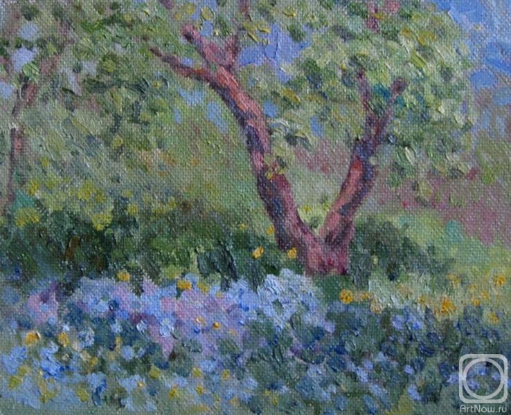 �������. �����������-�������� �����. ���������