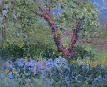 ������� ����������