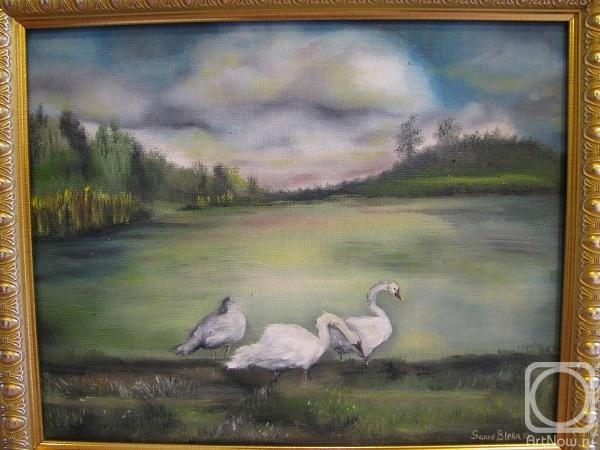 ������� ������ �� ������. ����� ������. ������