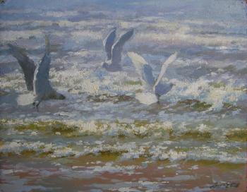 Gulls2. Paikule Arija