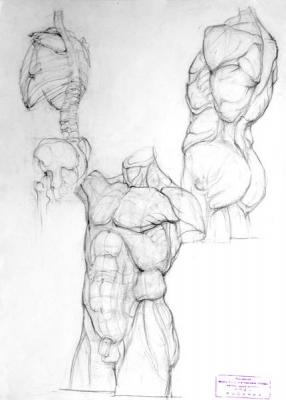 �������� ����. ���� �������