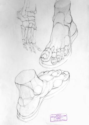 �������� �����. ���� �������