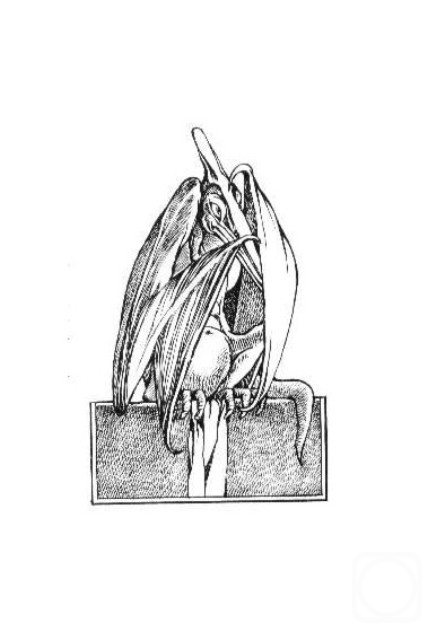 �������. ��������� ������. ����������. ������ � ������. ������������ ������