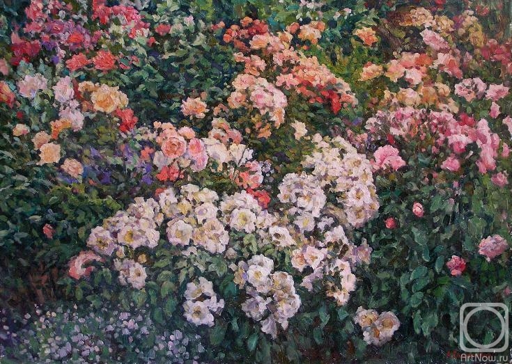 Soldatenko Andrey. Roses in the garden