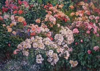 Roses in the garden (The White Rose). Soldatenko Andrey